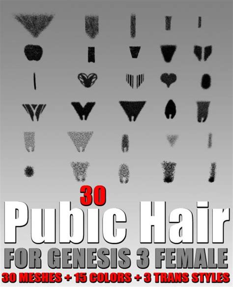 hairy mons|Category : Female pubic hair styles